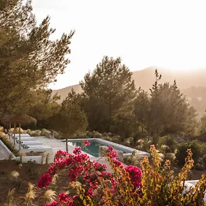 Alloggio per agriturismo Domo, Santa Eularia des Riu